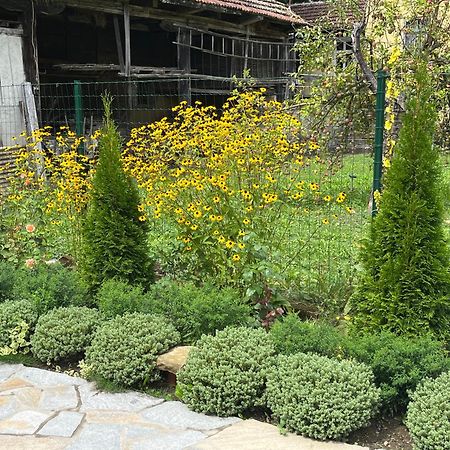 Verta House Trjawna Exterior foto